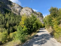 Fournel