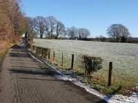 Tigelot via Foyeuru