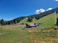 Frais di Chiomonte da Susa