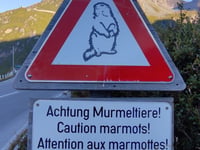 Franz-Josefs-Höhe via Grossglockner Hochalpenstrasse