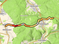 Franzosentriesch / Söhrewald da Wollrode