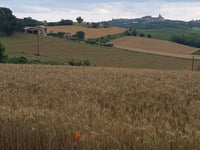 Frassinello Monferrato über Strada per Lignano