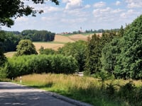 Frauenberg desde Auloh