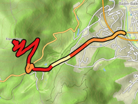 Fremersberg von Baden-Baden