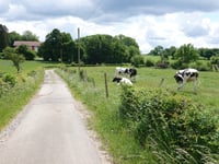 Frennetstrasse über Bergfeld