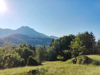Frerola from Pagliaro