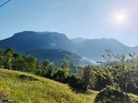 Frerola from Pagliaro