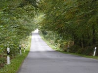 Freyenter Wald von Sief