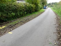 Freyenter Wald über Totleger