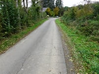 Freyenter Wald über Totleger