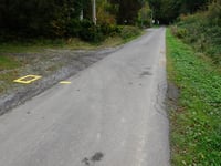 Freyenter Wald über Totleger