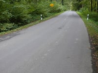 Freyenter Wald über Totleger