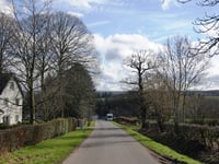 Freyenter Wald über Triftweg