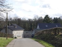 Freyenter Wald über Triftweg