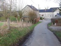 Freyenter Wald über Triftweg