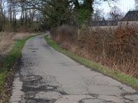 Freyenter Wald über Triftweg