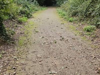 Friedhof Süchteln über Gehlingsweg