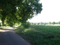 Friezenberg über Lentfersweg
