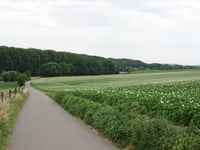 Frohnrather Weg über Heyder Feldweg