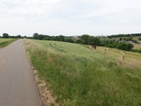 Frohnrather Weg über Heyder Feldweg