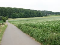 Frohnrather Weg über Heyder Feldweg