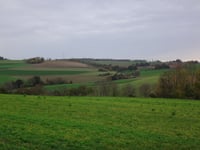 Fromberg