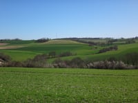 Fromberg
