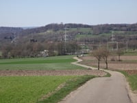 Fromberg