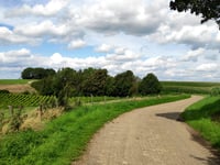 Fromberg