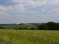 Fromberg