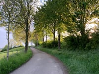 Fromberg