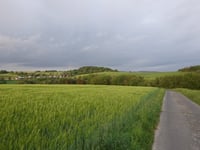 Fronhoven von Emmeroth