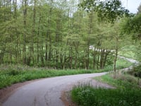 Fronhoven von Emmeroth
