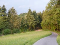 Fronhoven von Emmeroth