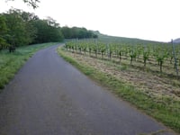 Fünf-Täler-Blick via Im Bungert