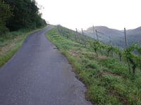 Fünf-Täler-Blick via Im Bungert