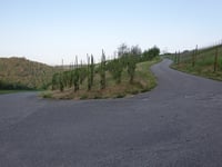 Fünf-Täler-Blick über In Frechert