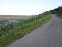 Fünf-Täler-Blick über In Frechert