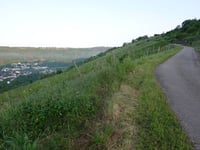 Fünf-Täler-Blick über In Frechert