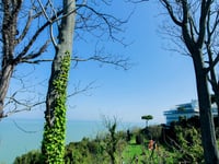Gabicce Monte from Case Badioli
