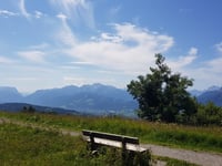 Gaisberg von Guggenthal