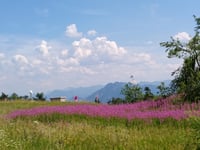 Gaisberg da Salzburg-Aigen