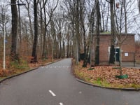 Bosweg