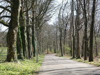 Galgenberg desde Rijnstate