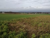 Galgenberg da Sint-Pieters-Rode