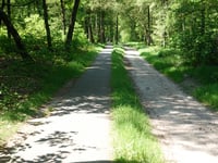 Galgenberg from Veenendaal