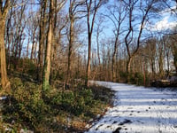 Galgenberg über Leutherweg