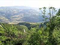 Galica von Travnik