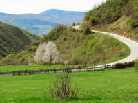Galica von Travnik