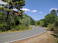 Passo di Monte Vitalba da San Martino